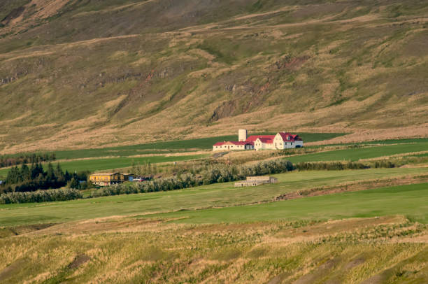 istock Iceland Coastal Farm Scene - III 1193573799