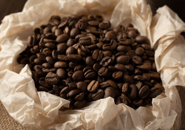 uma grão de café marrom - coffee crop brown bean beige - fotografias e filmes do acervo