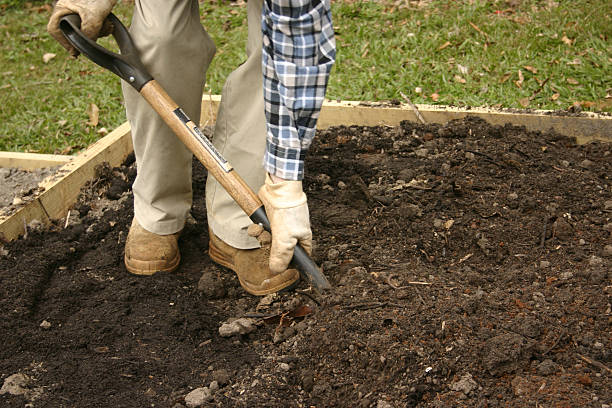 istock Closeup of a Man Digging Soil 119357478