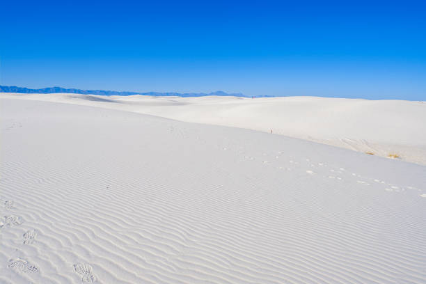 istock White Sands Gypsum Dunes 1193577852