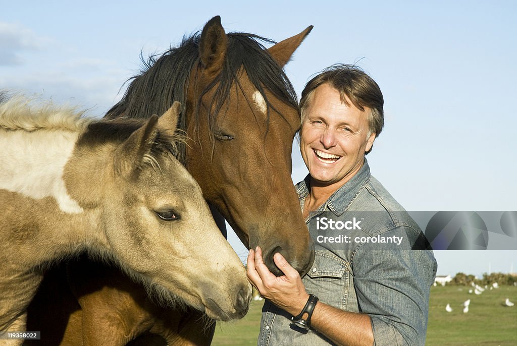 Homme avec des chevaux - Photo de Cheval libre de droits