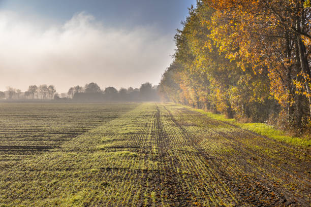 Frosty hazy agricultural november landscape on german countryside, Niedersachsen, Germany