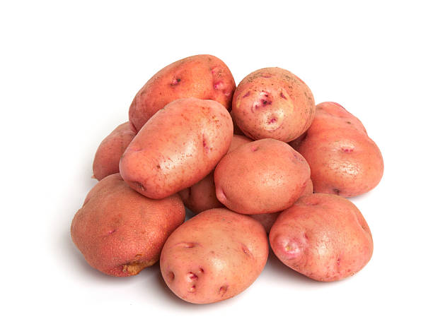 フレンチレッドのポテト絶縁 - raw potato red potato red nutrient ストックフォトと画像