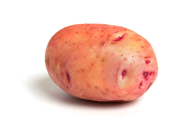 une pomme de terre - red potato isolated raw potato raw photos et images de collection