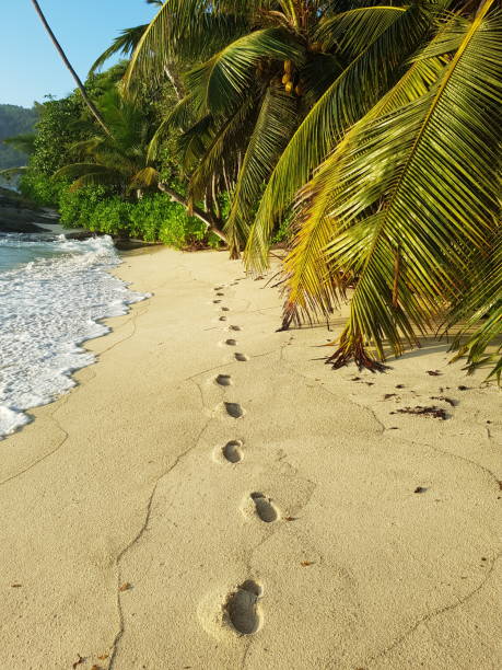 Footsteps in the sand