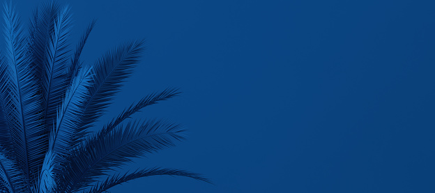 Unusual blue palm, Classic Blue color of the Year 2020, 3d illustration