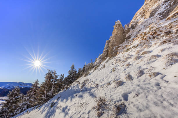 Wander through a tranquil valley of a northern hardwood forest in Switzerland, where frost adorns bare trees and sunlight breaks through the chilly air.