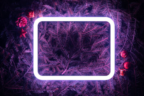 istock Creative fluorescent color layout made of spruce branches 1193590268