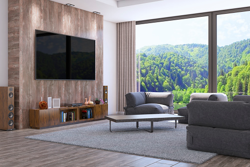 Interior Design / Living Room ( 3d render )