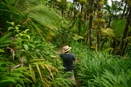 This is a horizontal, color photograph of a man wearing a hat on a hiking trail surrounded with lush green tropical plants growing in El Yunque National Forest in Puerto Rico.