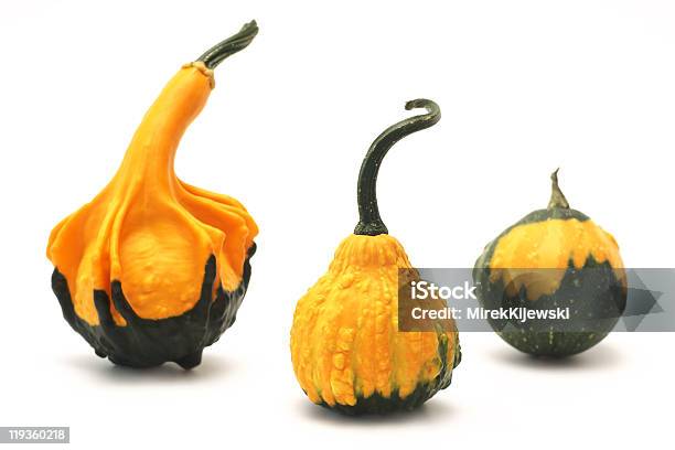 Decorativo Pumpkins Cucurbita L - Fotografie stock e altre immagini di Cibo - Cibo, Colore verde, Composizione orizzontale