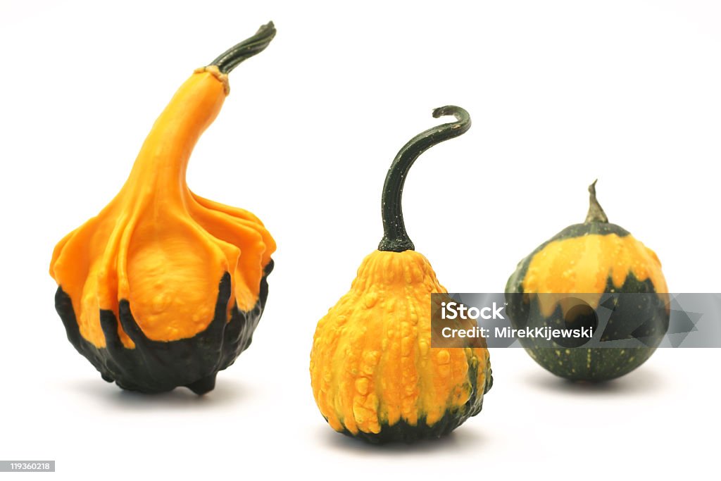 장식용 pumpkins (Cucurbita L. - 로열티 프리 0명 스톡 사진