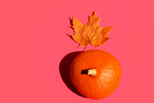 istock Bright orange pumpkin dry maple leaf on fuchsia pink background with hard shadows. Creative trendy pop art poster for Thanksgiving 1193603671