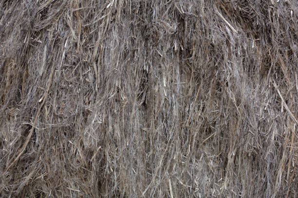 istock Textured gray hemp fiber for production 1193604076