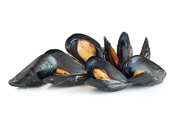 A pile of cooked mussels on a white background stock photo