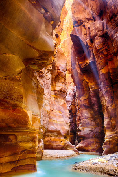istock Walk along Siq Trail in Wadi Mujib 1193612245