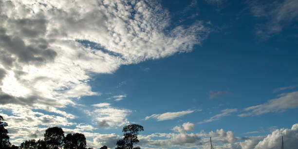 Nephology at its best. A beautiful meteorological sky cloudscape scene, with white Cumulonimbus cloud formation in a vivid blue sky. Atmospheric beauty in nature. New South Wales, Australia.