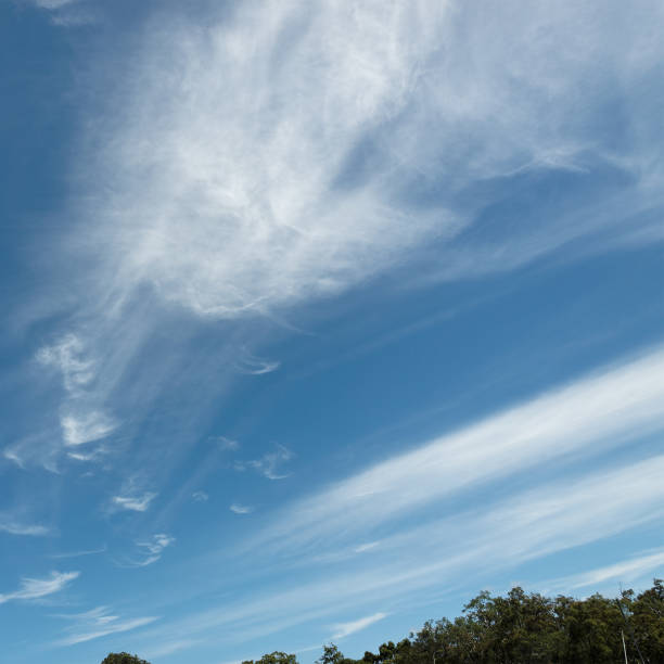 Nephology at its best. An unusual meteorological sky cloudscape scene, with white Stratocumulus cloud formation in a blue sky.  New South Wales, Australia.