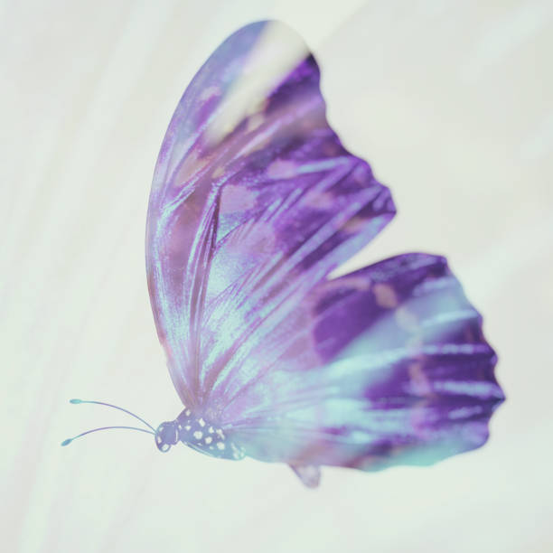 istock tropical blue butterfly. isolated on white background 1193613981