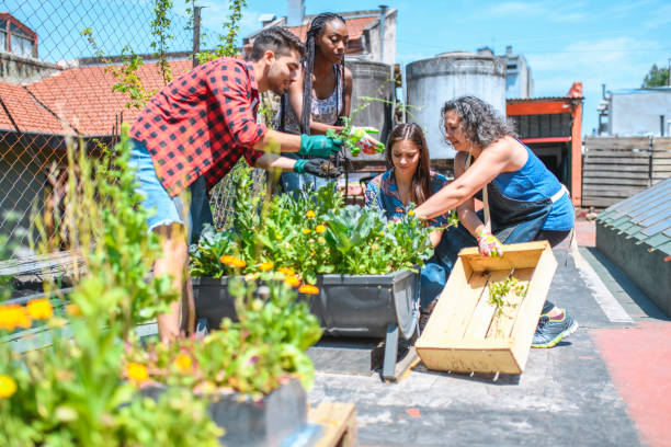 istock Multi-Ethnic Rooftop Gardeners Working on Planter Growth 1193614381
