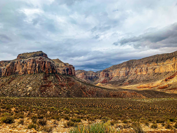 istock Hike into the Grand Canyon 1193617598