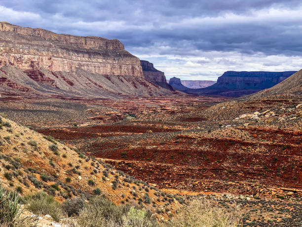 istock View of the Grand Canyon 1193617609