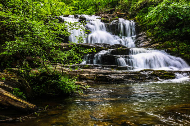 wodospad w lesie narodowym cherokee - tennessee waterfall stream forest zdjęcia i obrazy z banku zdjęć