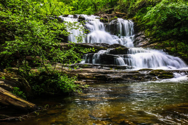 водопад в национальном лесу чероки - tennessee waterfall stream forest стоковые фото и изображения