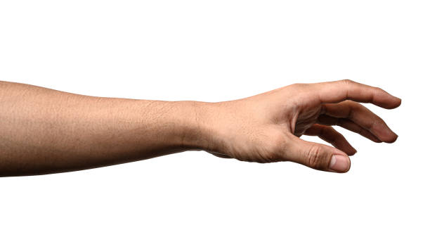 istock Hand open and ready to help or receive. Gesture isolated on white background with clipping path. 1193621942