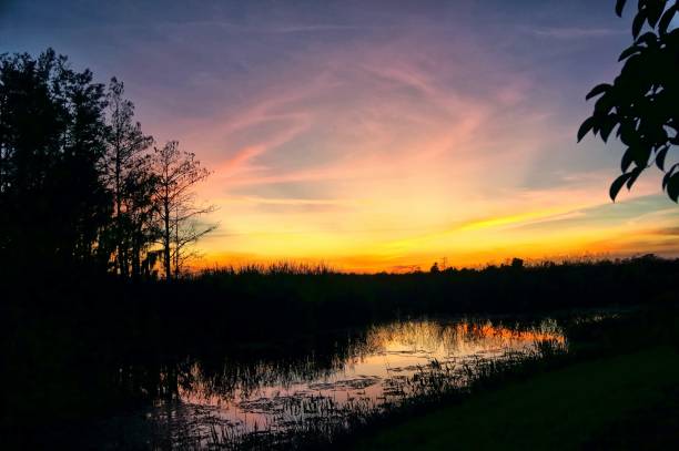 istock sunset in the swamp 1193625145