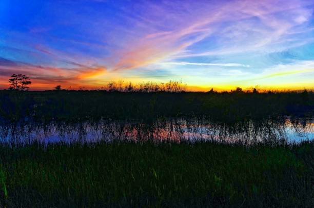 istock Louisiana Swamp sunset silhouette and reflections 1193625233
