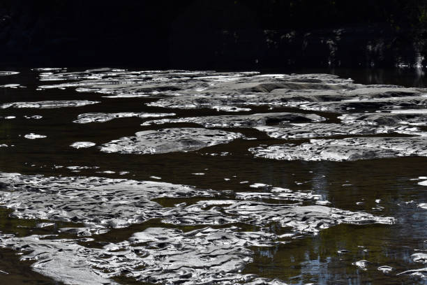 istock The last puddles in the river 1193626380