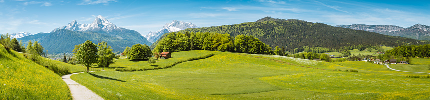 Idyllic summer landscape in the Alps with fresh green mountain pastures and snow-capped mountain tops in the background, Nationalpark Berchtesgadener Land, Bavaria, Germany