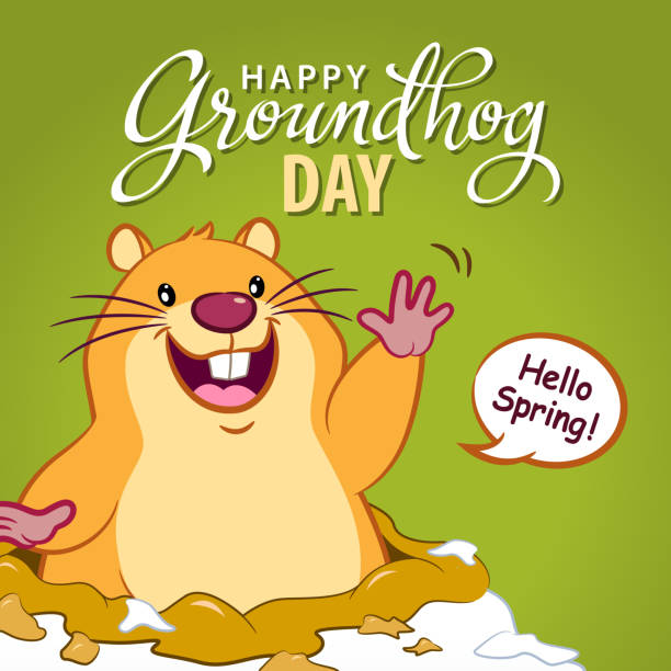Hello Spring Groundhog Day Marmot coming out of burrow and welcoming spring on the green background groundhog day stock illustrations