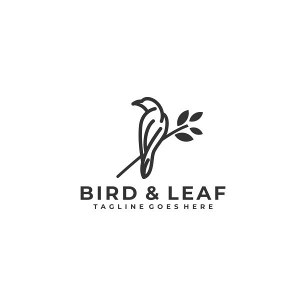 szablon wektora wektora z liści ptaków - zwierzęce gniazdo stock illustrations