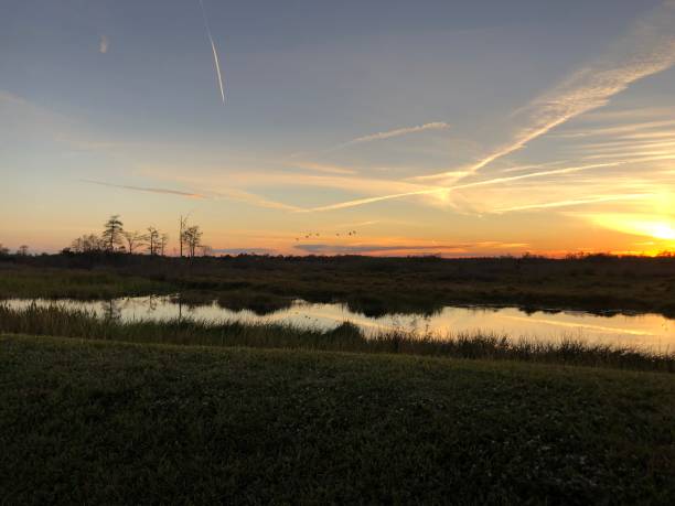 istock reflections of sunset in the river 1193634288