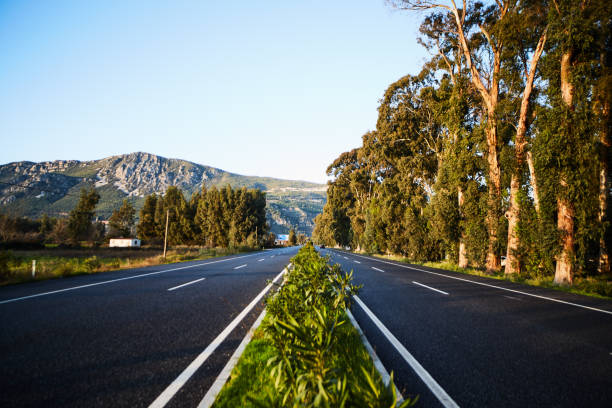 istock Road to Gokova, Turkey 1193636779