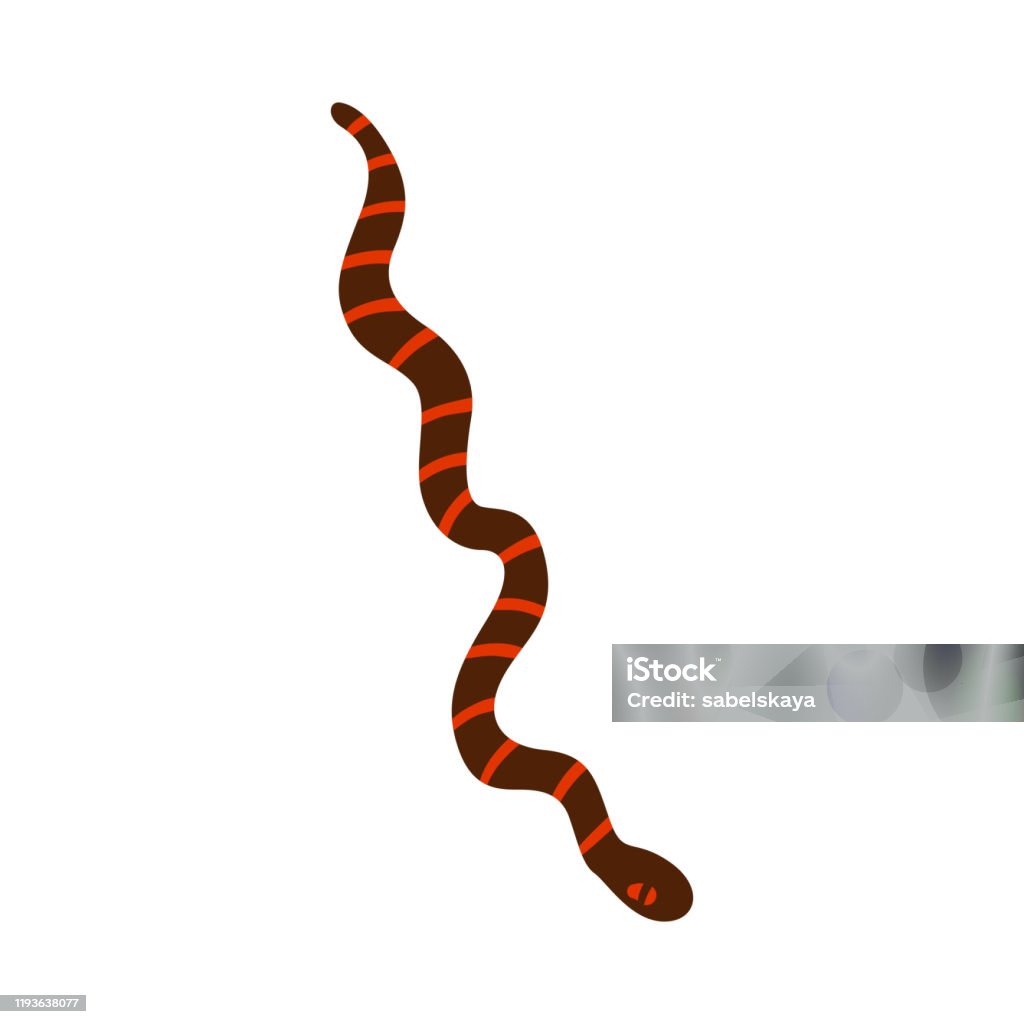 Hình Vẽ Rắn Sọc Nâu Và Đỏ Được Cô Lập Trong Nền Trắng Động Vật Bò ...