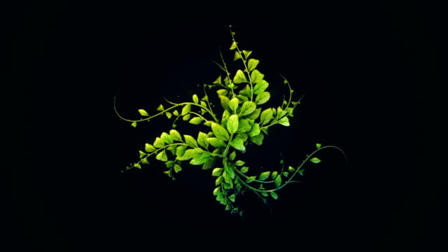 abstract digitaly Plant growth background