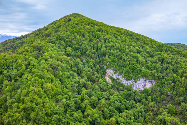 Free Stock Photo of Majestic mountain with dense green forest below ...