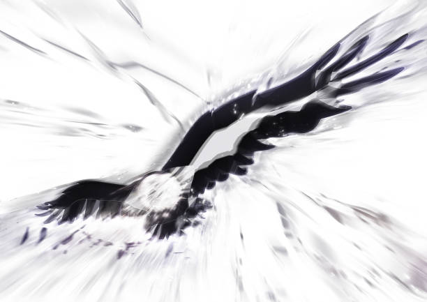 3D rendered abstract metal jet black bird flapping