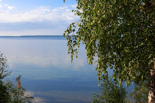 istock Birch over the lake. Landscape 1193653272