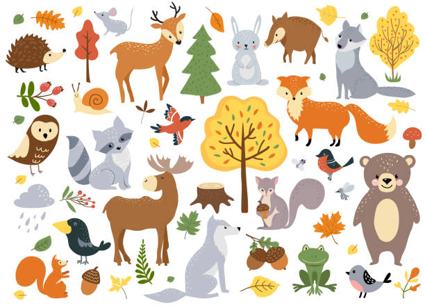 Woodland animals set Woodland animals set, cute fox, bear, wolf, rabbit and birds. Perfect for scrapbooking, cards, poster, tag, sticker kit. Hand drawn vector illustration. forest illustrations stock illustrations