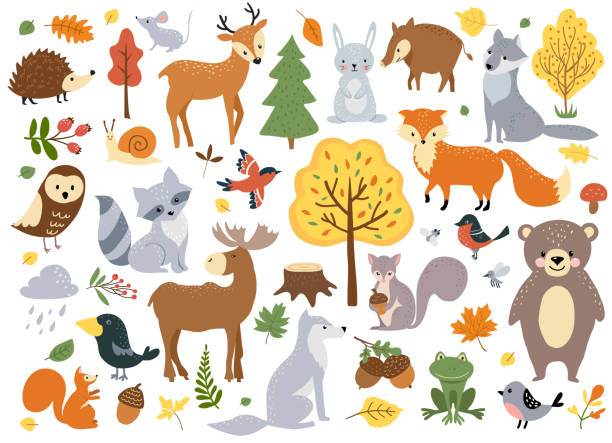 Woodland animals set Woodland animals set, cute fox, bear, wolf, rabbit and birds. Perfect for scrapbooking, cards, poster, tag, sticker kit. Hand drawn vector illustration. cute frog stock illustrations