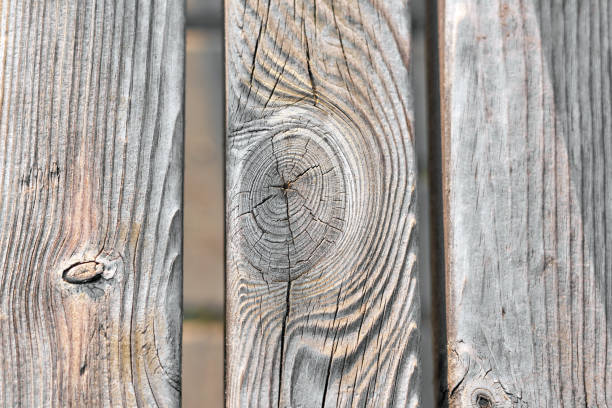 istock Old grey wooden Board with knots, vertical. Close-up 1193656536