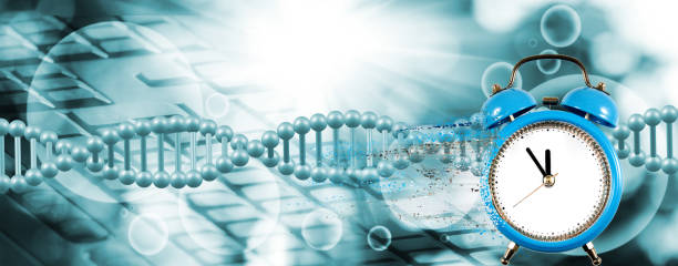 istock dna chain on biotechnological background and a clock with particles decaying on one side.3 d illustration 1193657572