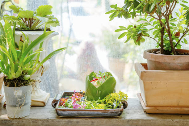 istock steamed rice and flowers 1193657966