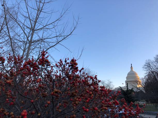 istock christmas on capitol hill festive 1193662849