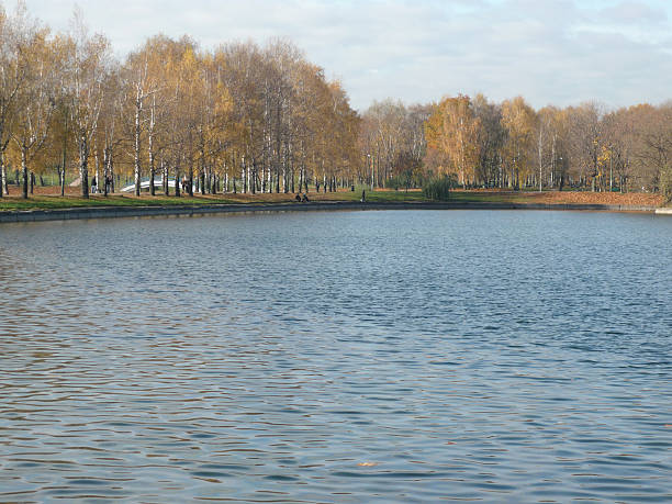 istock autumn in city park 119366855