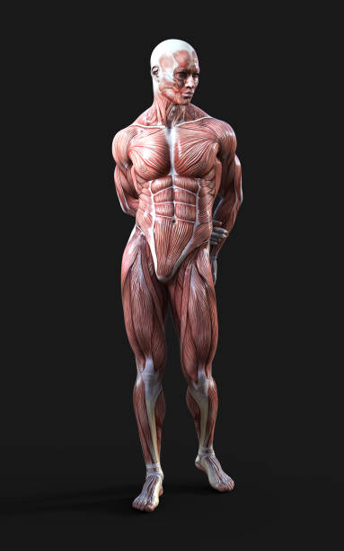 istock Concept of between gods pose with clipping path. 1193668955